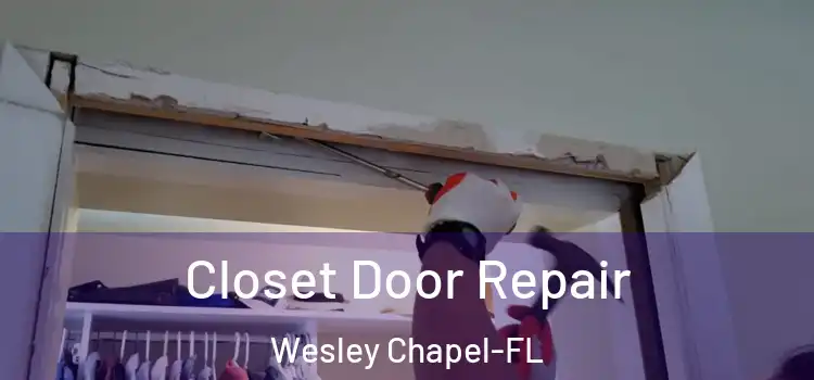 Closet Door Repair Wesley Chapel-FL