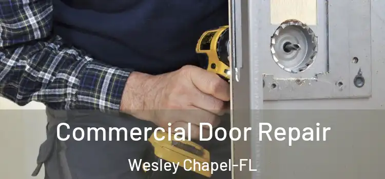  Commercial Door Repair Wesley Chapel-FL