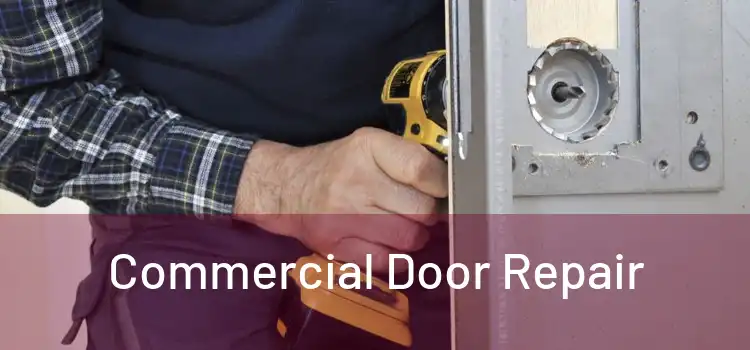 Commercial Door Repair