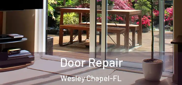  Door Repair Wesley Chapel-FL