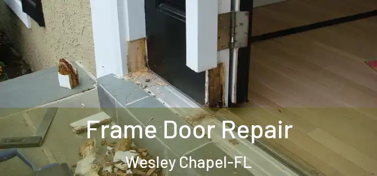 Frame Door Repair Wesley Chapel-FL