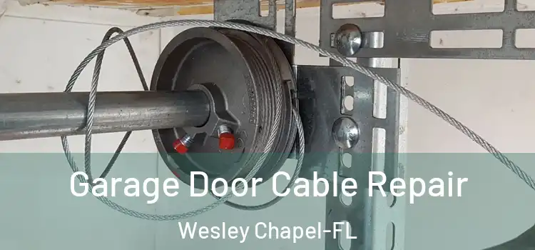 Garage Door Cable Repair Wesley Chapel-FL