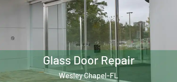 Glass Door Repair Wesley Chapel-FL
