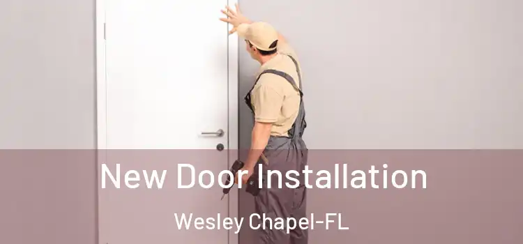  New Door Installation Wesley Chapel-FL