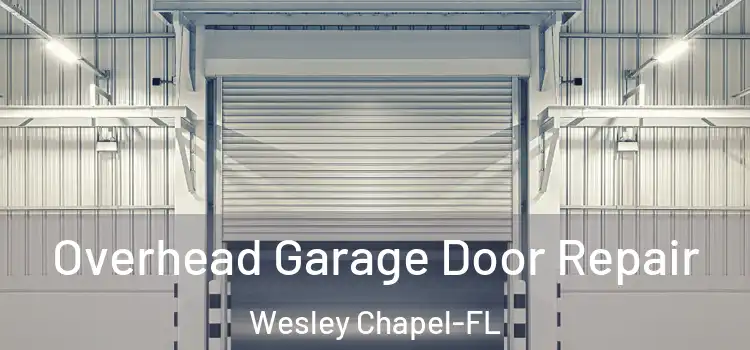 Overhead Garage Door Repair Wesley Chapel-FL