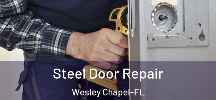  Steel Door Repair Wesley Chapel-FL